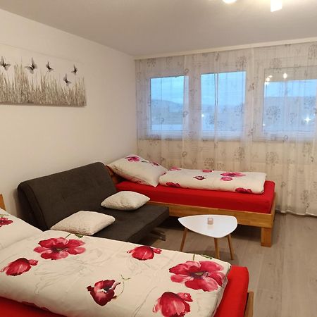 Apartment Lahr 50 エクステリア 写真