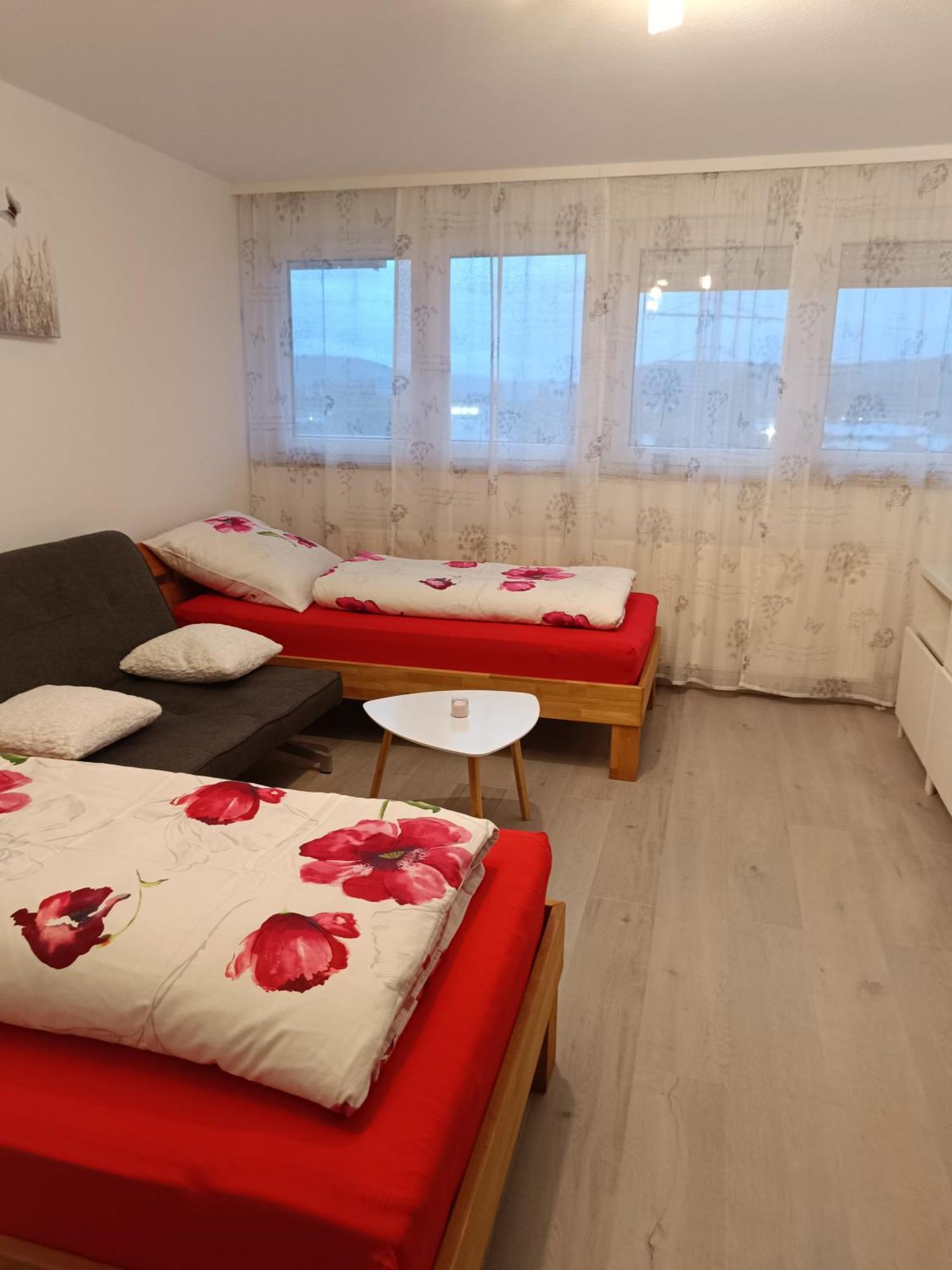 Apartment Lahr 50 エクステリア 写真