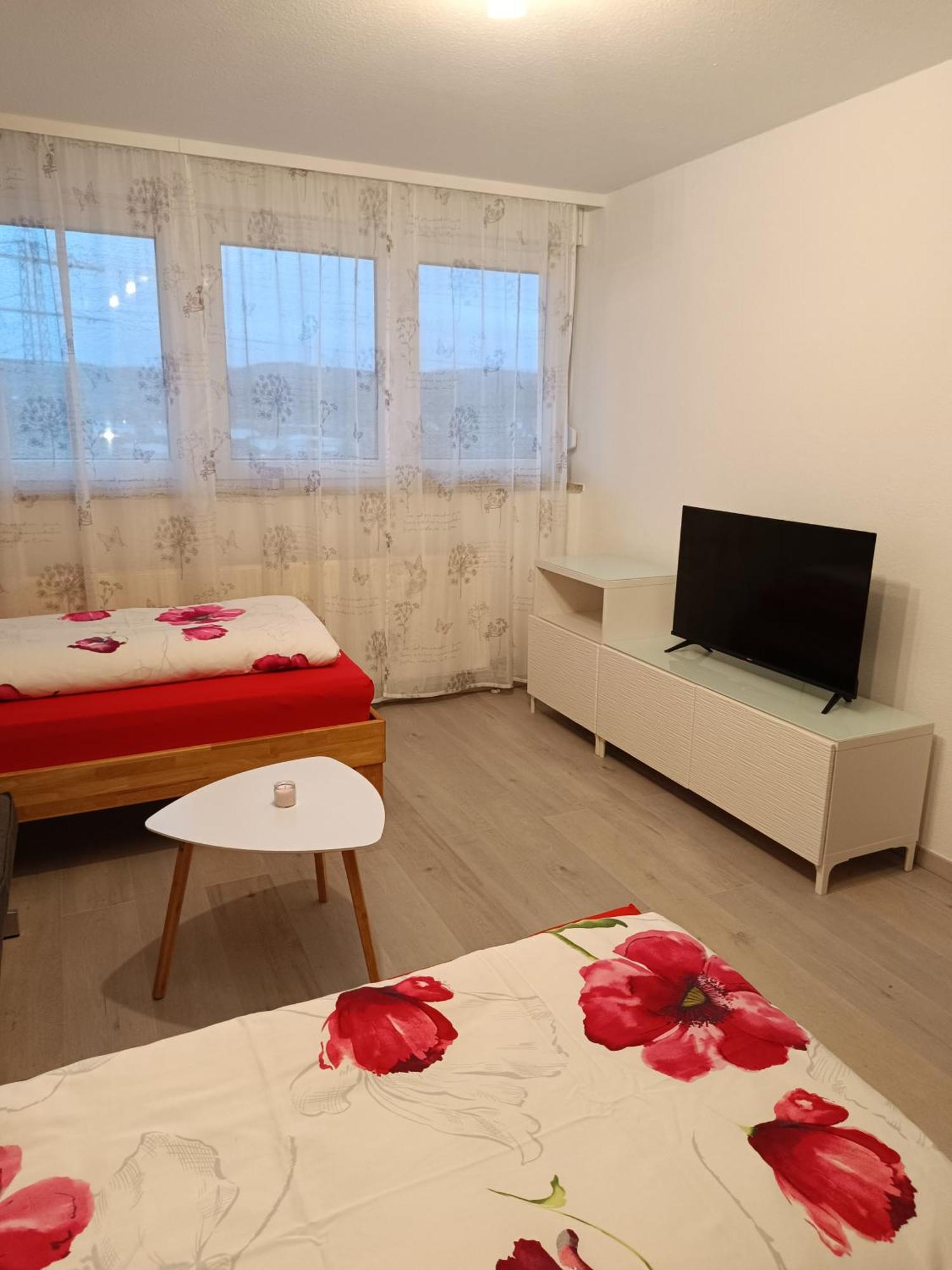 Apartment Lahr 50 エクステリア 写真
