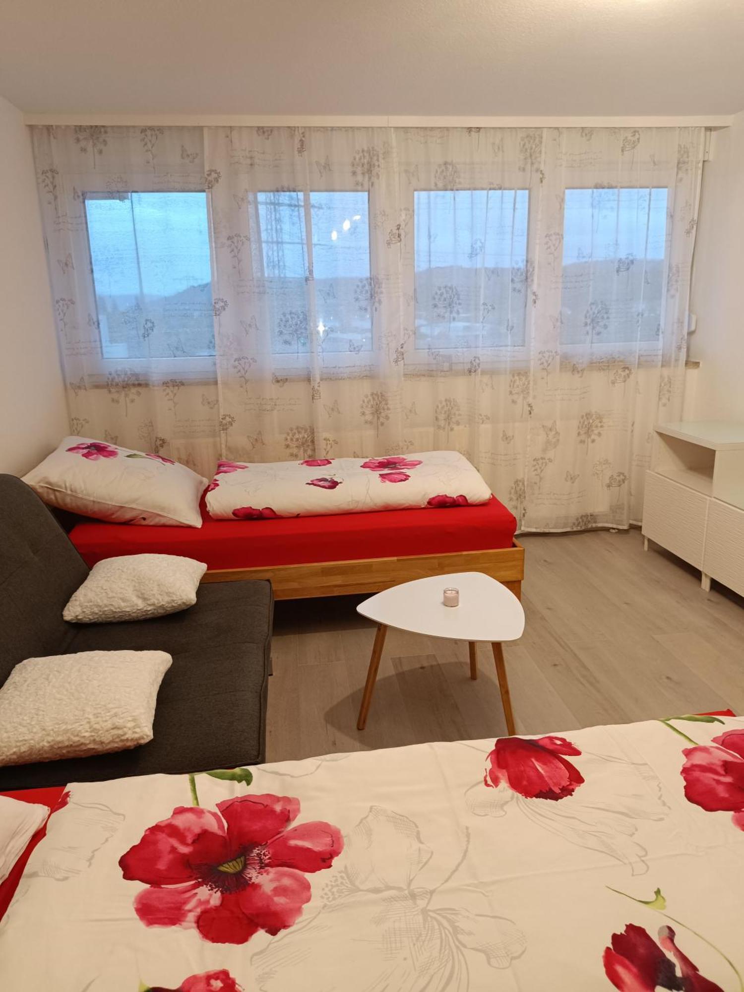 Apartment Lahr 50 エクステリア 写真